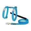 REDDINGO Harnais + Laisse ETOILE BLEU/BLANC Chat