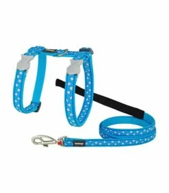 REDDINGO Harnais + Laisse ETOILE BLEU/BLANC Chat