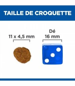 HILL'S Pet Nutrition Croquettes I/D ACTIVEBIOME+ Chien Sac 5 Kg - Prescription Diet 13 HILL'S Pet Nutrition Croquettes I/D ACTIVEBIOME+ Chien Sac 5 Kg - Prescription Diet -alimentation chats boutique id activebiome chien sac 5 kg prescription diet 5