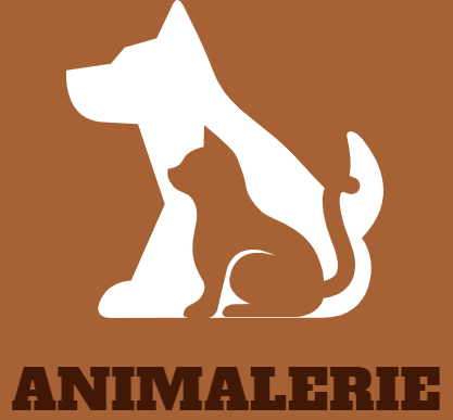 alimentation chats boutique