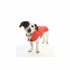 Buster Manteau RAINCOAT ORANGE T.XL Chien