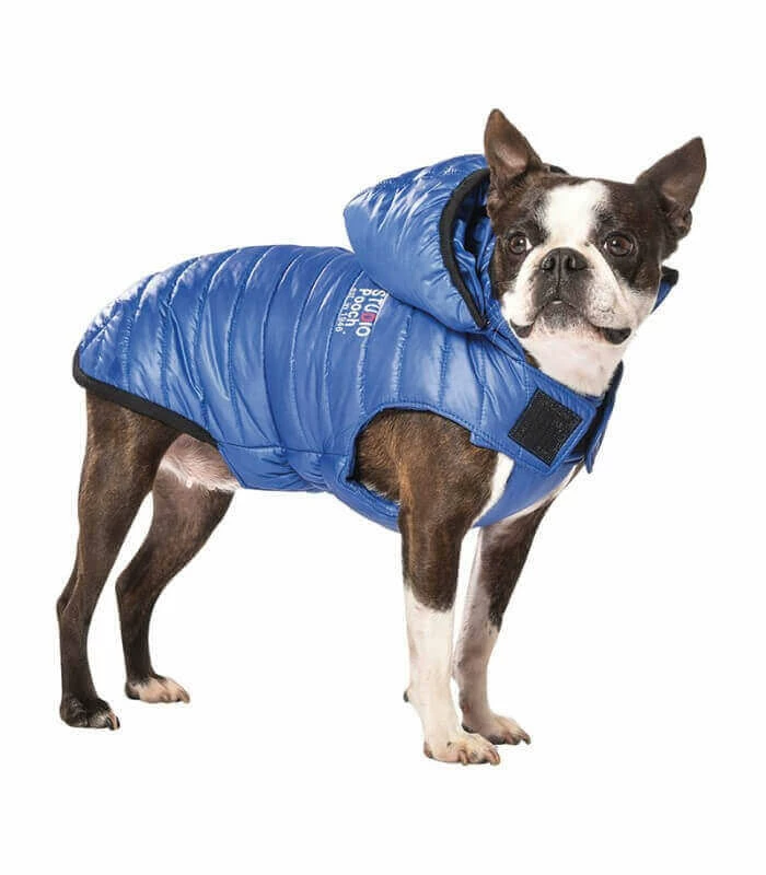 BOBBY Manteau STUDIO GRIS T.S Chien 2 BOBBY Manteau STUDIO GRIS T.S Chien – Image 2