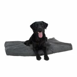 Buster Matelas à Mémoire De Forme Gris G.M Chien