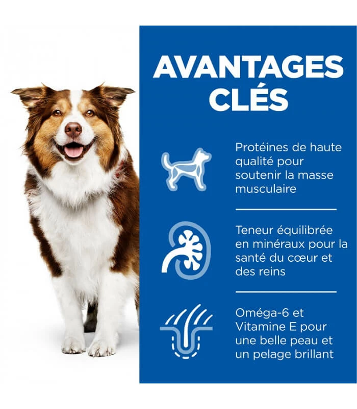 HILL'S Pet Nutrition Pâtée MATURE ADULT POULET Chien 12x370g - Science Plan 2 HILL'S Pet Nutrition Pâtée MATURE ADULT POULET Chien 12x370g - Science Plan – Image 2