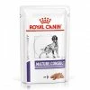 ROYAL CANIN Pâtée MATURE CONSULT LOAF Chien 12x85g - Veterinary Health Nutrition