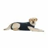 Medical Pet Shirt Gilet Protecteur T.L Chien