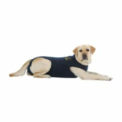 Medical Pet Shirt Gilet Protecteur T.L Chien