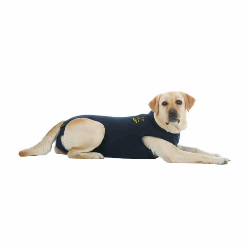 Medical Pet Shirt Gilet Protecteur T.L Chien 1 Medical Pet Shirt Gilet Protecteur T.L Chien