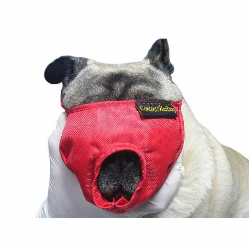 Muselière Rouge T.S Chien 1 Muselière Rouge T.S Chien
