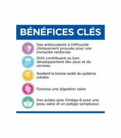 HILL'S Pet Nutrition Pâtée NEUTERED YOUNG ADULT POULET Chat 12x85g - Vet Essentials -alimentation chats boutique neutered young adult poulet chat 12x85g vet essentials 2