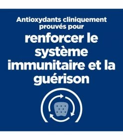 HILL'S Pet Nutrition Pâtée A/D URGENT CARE Chien Et Chat 24x156g - Prescription Diet -alimentation chats boutique patee ad urgent care chien et chat 24x156g prescription diet 3