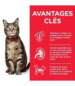 HILL'S Pet Nutrition Pâtée ADULT PACK MIXTE Chat 12x85g - Science Plan -alimentation chats boutique patee adult pack mixte chat 12x85g science plan 4