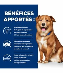 HILL'S Pet Nutrition Pâtée DERM COMPLETE Chien 12x370g - Prescription Diet 15 HILL'S Pet Nutrition Pâtée DERM COMPLETE Chien 12x370g - Prescription Diet -alimentation chats boutique patee derm complete chien 12x370g prescription diet 5