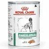 ROYAL CANIN Pâtée DIABETIC SPECIAL Chien 12x410g - Veterinary Health Nutrition