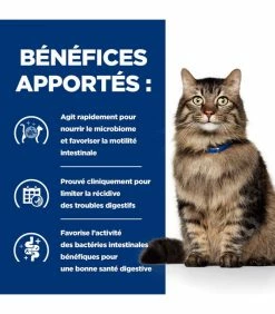 HILL'S Pet Nutrition Pâtée GASTROINTESTINAL BIOME MIJOTE POULET & LEGUMES Chat 24x82g - Prescription Diet -alimentation chats boutique patee gastrointestinal biome mijote poulet legumes chat 24x82g prescription diet 5