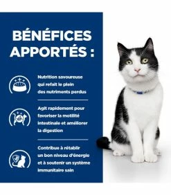 HILL'S Pet Nutrition Pâtée I/D DIGESTIVE MIJOTÉS POULET & LEGUMES Chat 24x82g - Prescription Diet -alimentation chats boutique patee id digestive mijotes poulet legumes chat 24x82g prescription diet 5