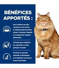 HILL'S Pet Nutrition Pâtée K/D J/D KIDNEY + MOBILITY POULET Chat 12x85g - Prescription Diet -alimentation chats boutique patee kd jd kidney mobility poulet chat 12x85g prescription diet 5