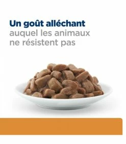 HILL'S Pet Nutrition Pâtée K/D J/D KIDNEY + MOBILITY POULET Chat 12x85g - Prescription Diet -alimentation chats boutique patee kd jd kidney mobility poulet chat 12x85g prescription diet 7