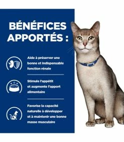 HILL'S Pet Nutrition Pâtée K/D KIDNEY BOEUF Chat 12x85g - Prescription Diet -alimentation chats boutique patee kd kidney boeuf chat 12x85g prescription diet 4