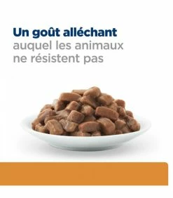 HILL'S Pet Nutrition Pâtée K/D KIDNEY BOEUF Chat 12x85g - Prescription Diet -alimentation chats boutique patee kd kidney boeuf chat 12x85g prescription diet 7