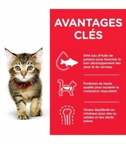 HILL'S Pet Nutrition Pâtée KITTEN PACK MIXTE Chat 12x85g - Science Plan 9 HILL'S Pet Nutrition Pâtée KITTEN PACK MIXTE Chat 12x85g - Science Plan -alimentation chats boutique patee kitten pack mixte chat science plan 3