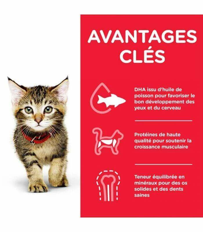 HILL'S Pet Nutrition Pâtée KITTEN PACK MIXTE Chat 12x85g - Science Plan 4 HILL'S Pet Nutrition Pâtée KITTEN PACK MIXTE Chat 12x85g - Science Plan – Image 4