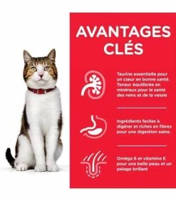 HILL'S Pet Nutrition Pâtée MATURE ADULT 7+ PACK MIXTE Chat 12x85g - Science Plan -alimentation chats boutique patee mature adult 7 pack mixte chat science plan 3