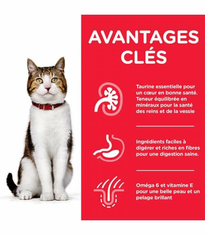 HILL'S Pet Nutrition Pâtée MATURE ADULT 7+ POULET Chat 12x85g - Science Plan 2 HILL'S Pet Nutrition Pâtée MATURE ADULT 7+ POULET Chat 12x85g - Science Plan – Image 2