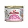 ROYAL CANIN Pâtée Cat Mother And Babycat Mousse 12 X 195 G Veterinary Care Nutrition