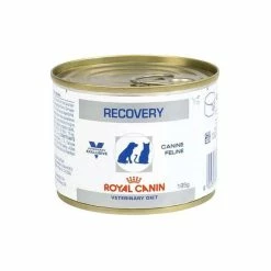 ROYAL CANIN Pâtée RECOVERY Chien Et Chat 12x195g - Veterinary Diet