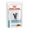 ROYAL CANIN Pâtée SKIN & COAT Chat 12 X 85 G - Veterinary Health Nutrition