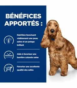 HILL'S Pet Nutrition Pâtée Z/D FOOD SENSITIVITIES Chien 12x370g - Prescription Diet -alimentation chats boutique patee zd food sensitivities chien 12x370g prescription diet 5
