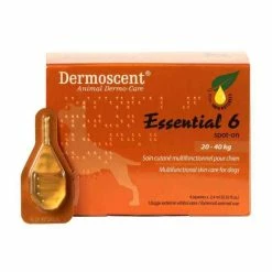 BIMEDA Solution ESSENTIAL 6 Grand Chien 4 Pip. - Dermoscent