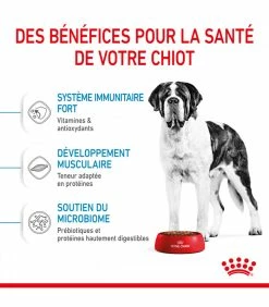 ROYAL CANIN Croquettes DOG GIANT PUPPY Sac 3.5 Kg - Veterinary Care Nutrition -alimentation chats boutique veterinary care nutrition chien junior giant sac 14 kg 12