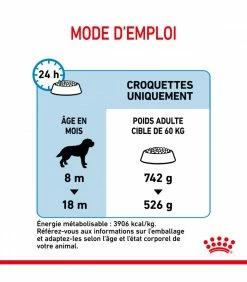 ROYAL CANIN Croquettes DOG GIANT PUPPY Sac 3.5 Kg - Veterinary Care Nutrition -alimentation chats boutique veterinary care nutrition chien junior giant sac 14 kg 15